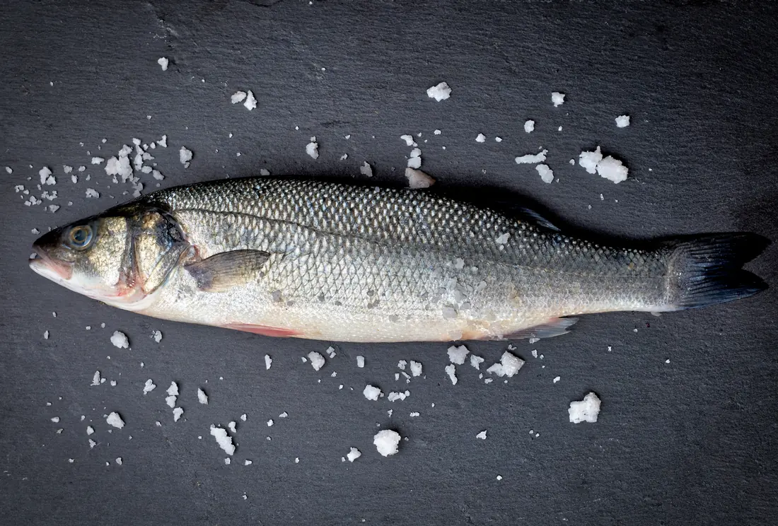 A whole sea bass on a dark slate
