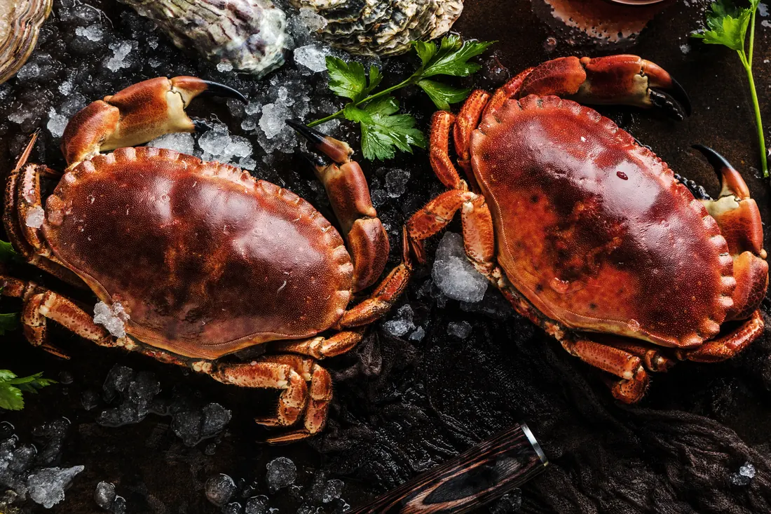 Whole brown crabs on a dark surface